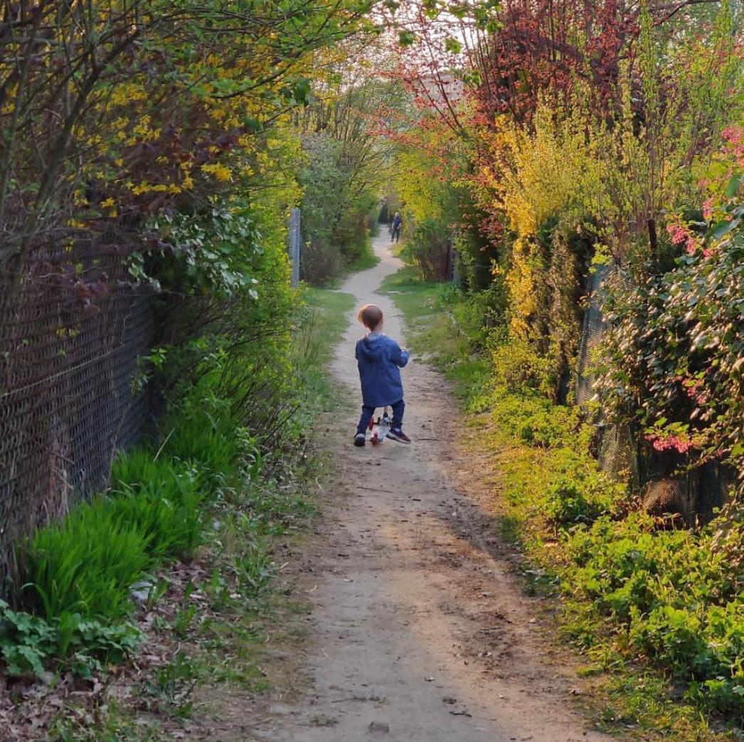 Дачи, район Верхний Мокотув