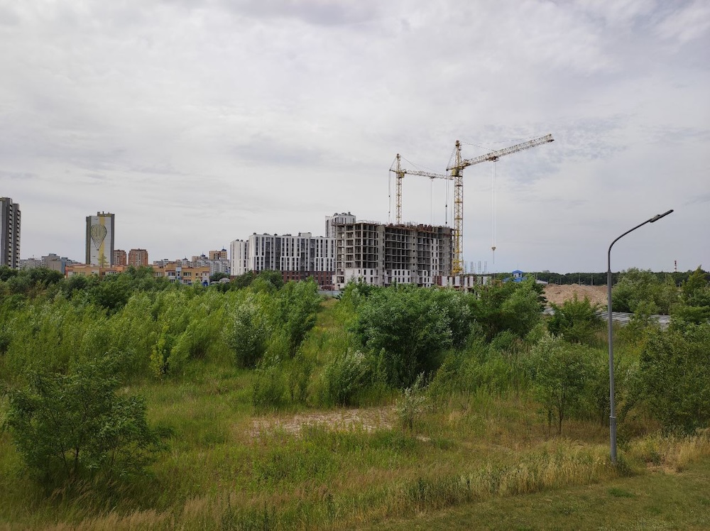 Заросший участок земли в Бресте в ЮВМР-4 в Бресте. Фото: Телеграм.