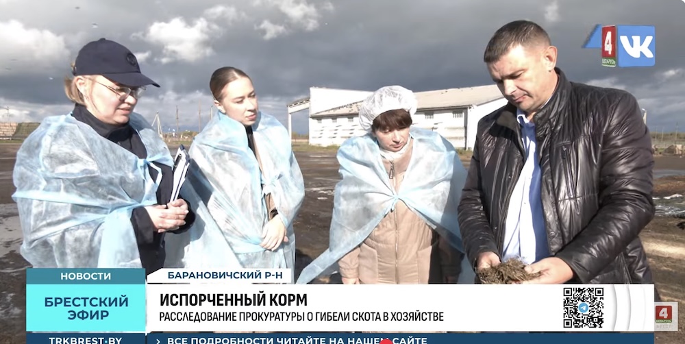 Директор ОАО «Крошин» Иван Заяц показывает проверяющим корм для скота.