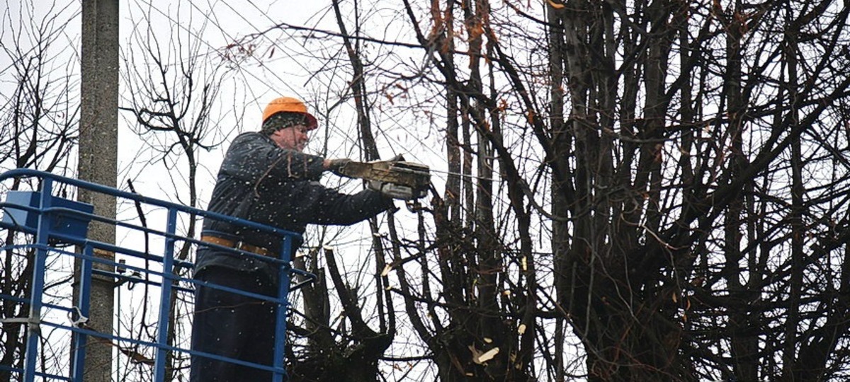Обрезка деревьев в Барановичах в 2025 году. Фото: «Наш край»