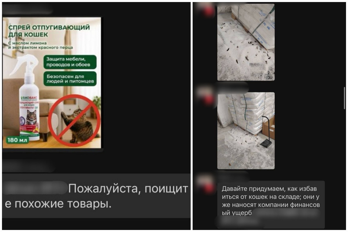 Скриншот переписки с представителями компании «Мидеа Рефрижератор Мануфактуринг».