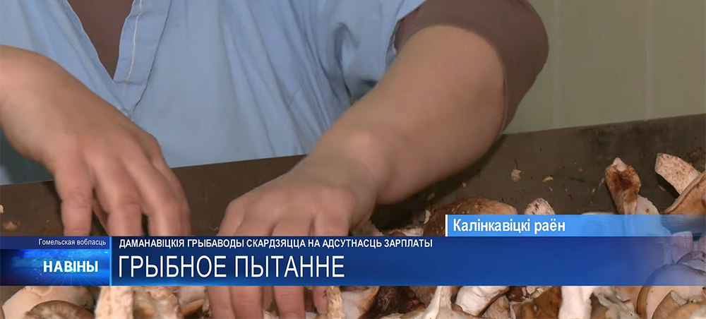работа с грибами 