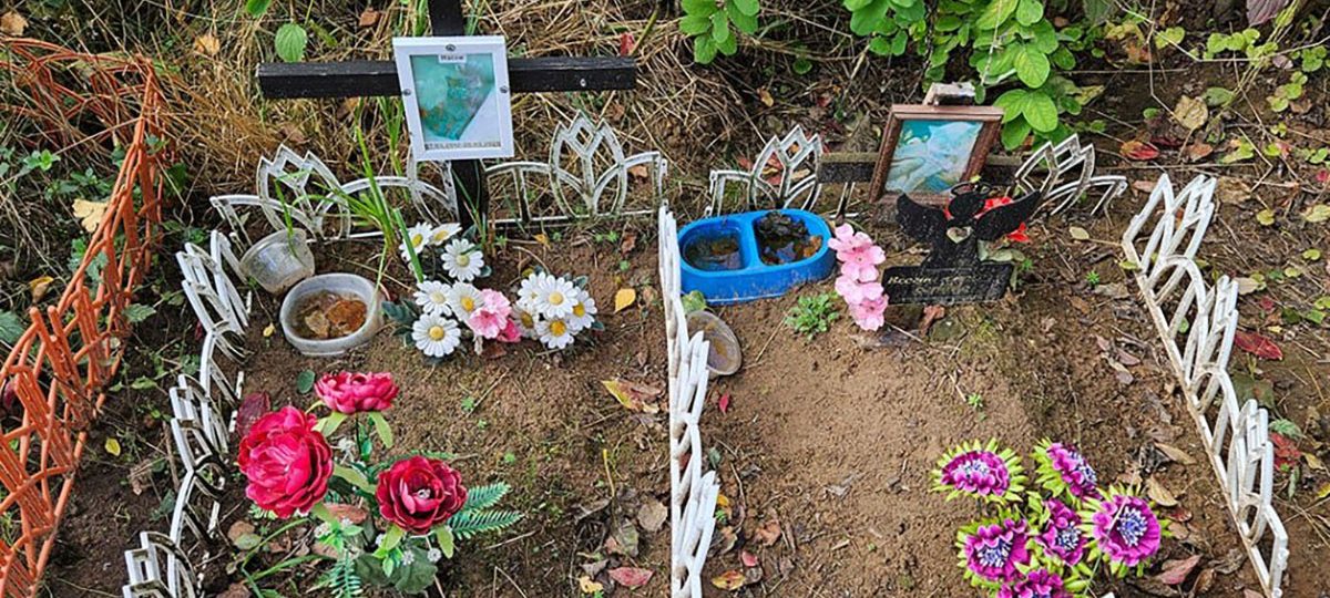 захоронение домашних питомцев