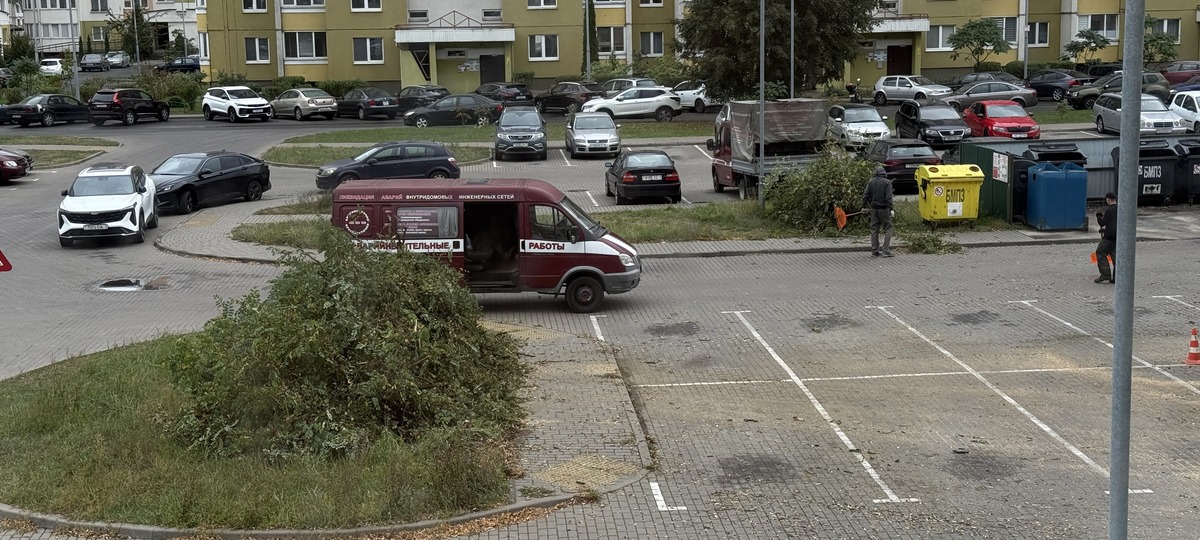 В Бресте на улице Гвардейской спилили деревья. Фото из Threads
