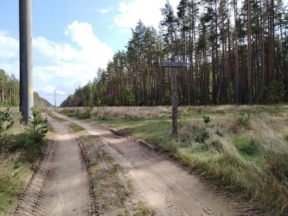 Веломаршрут Барановичского лесхоза. Фото: Victogan